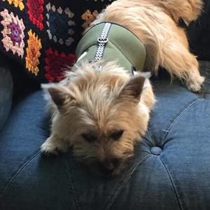 Meet your Posher, Myra